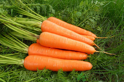 ���˶�������С��ʶ